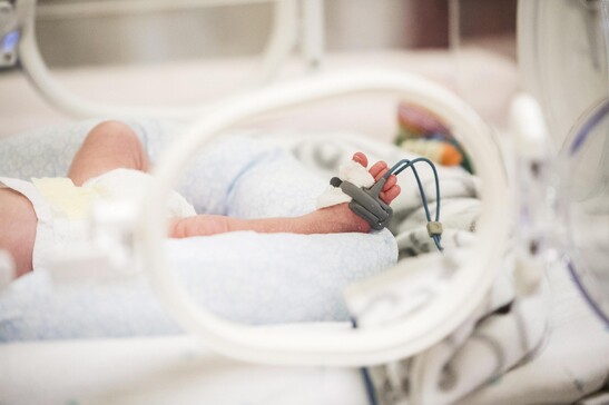Zaia, tre neonati positivi ai test su batteri in ospedale Verona